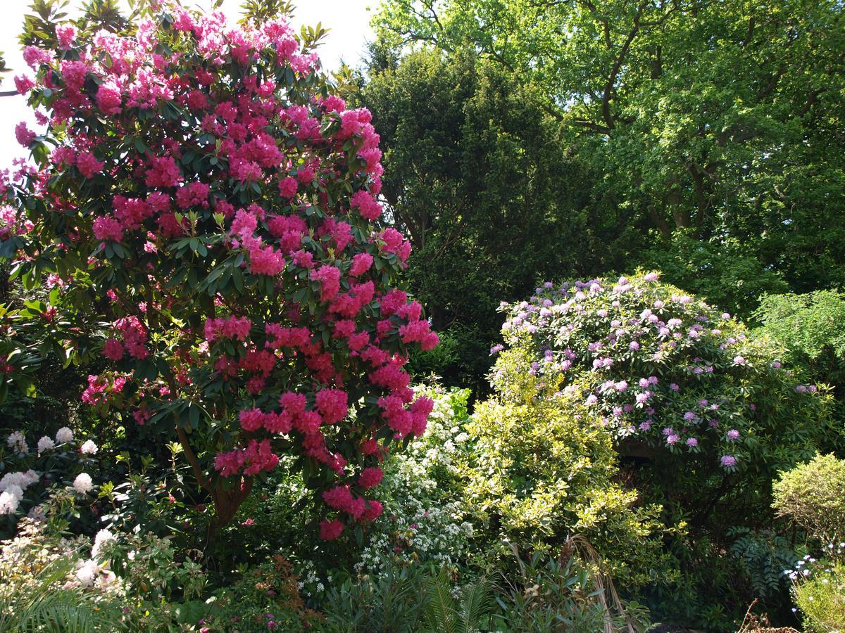 Heatherbank B&B Sandhurst  Bagian luar foto
